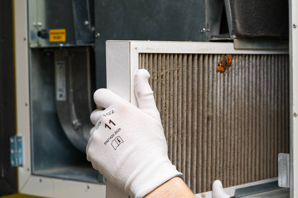 Best Emergency Air Duct Cleaning  in Lewisville, WA