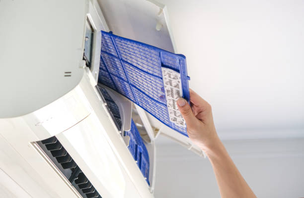 Best Air Quality Test  in Lewisville, WA
